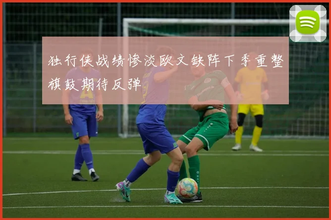 独行侠战绩惨淡欧文缺阵下季重整旗鼓期待反弹